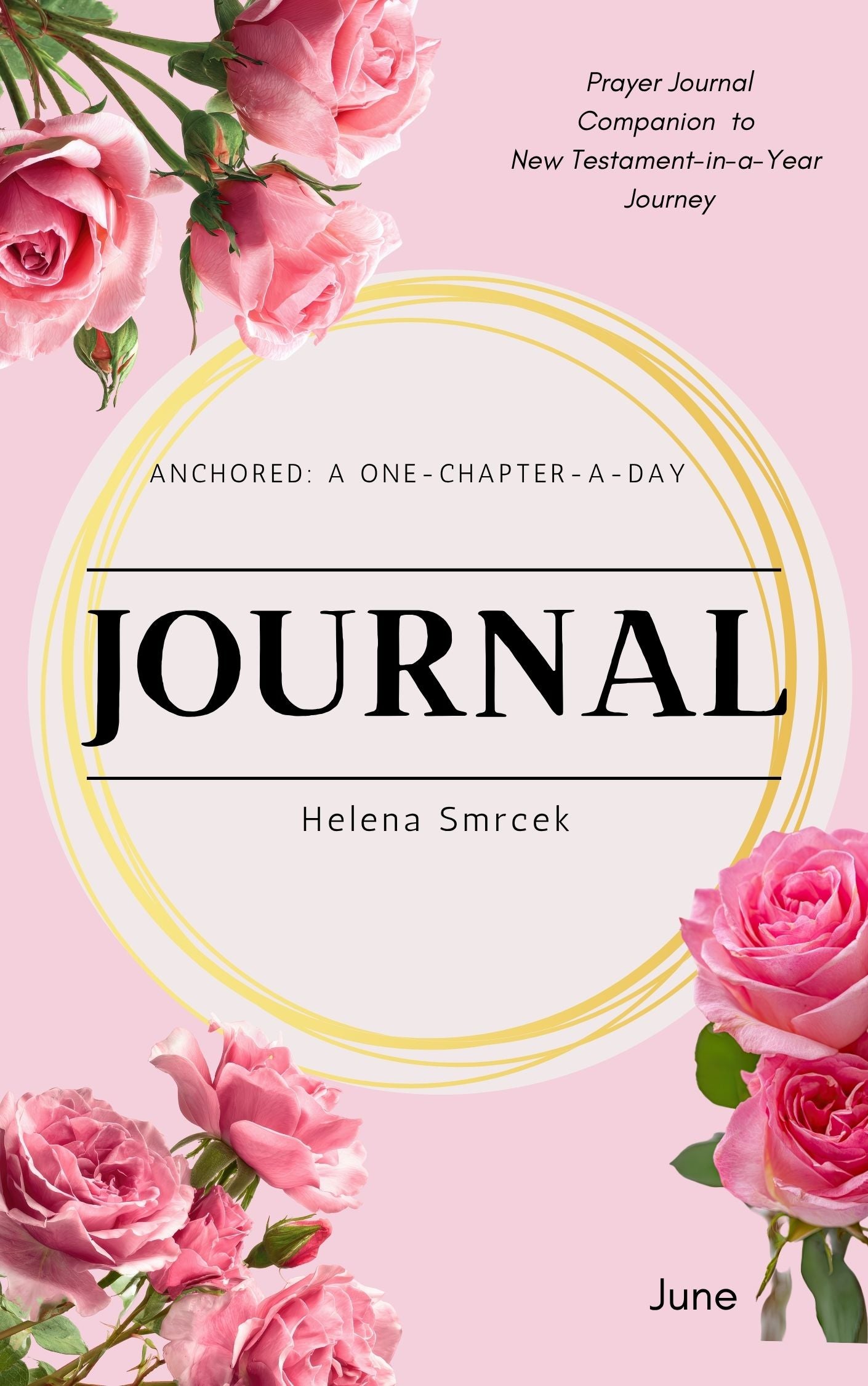 Anchored: One Chapter-a-Day Bible Reading Journal